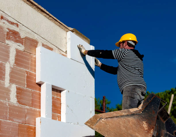 Best Cellulose Insulation in Caledonia, WI
